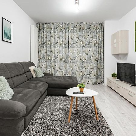 Green Apartment Coresi براشوف المظهر الخارجي الصورة