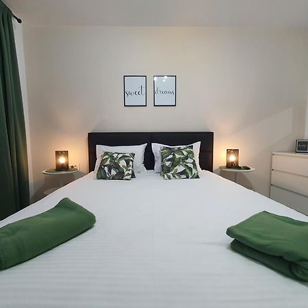 Green Apartment Coresi براشوف المظهر الخارجي الصورة