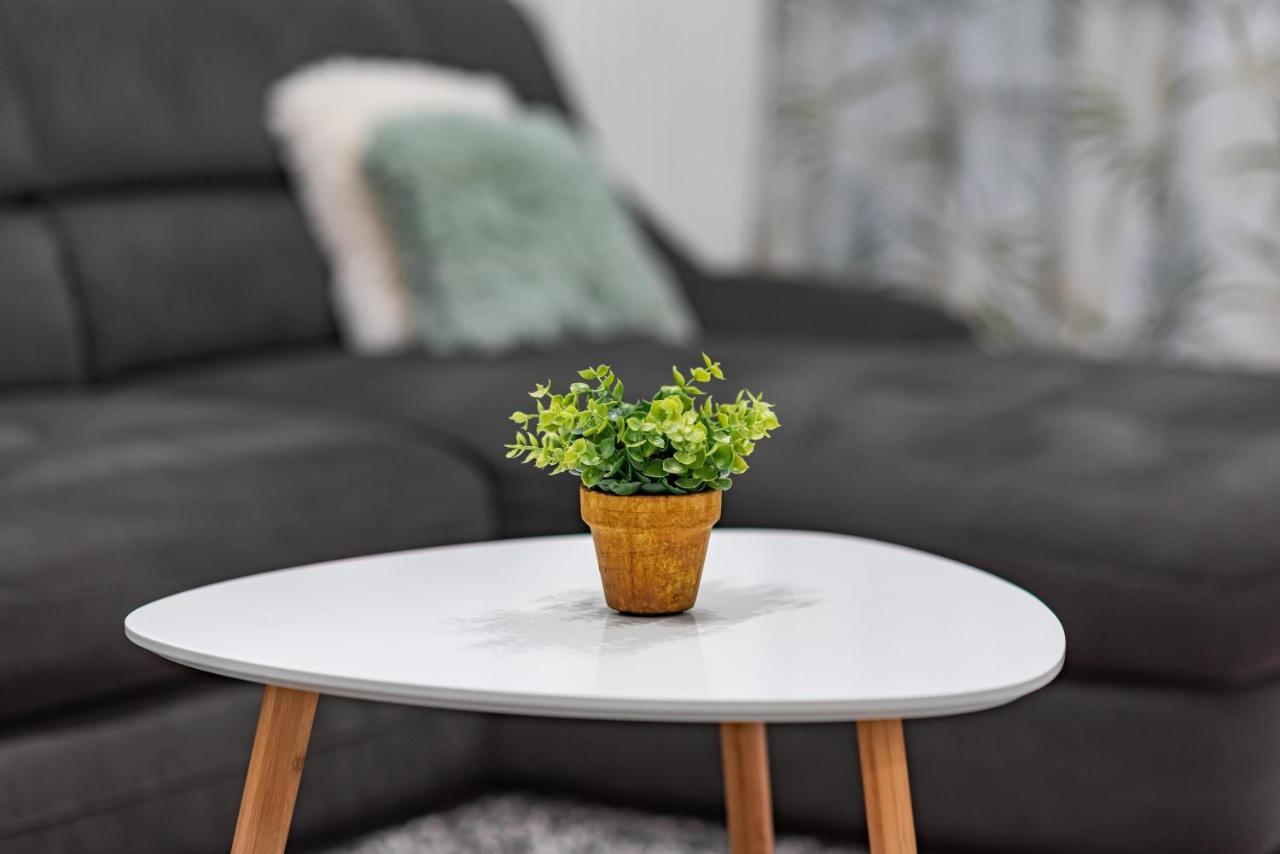 Green Apartment Coresi براشوف المظهر الخارجي الصورة