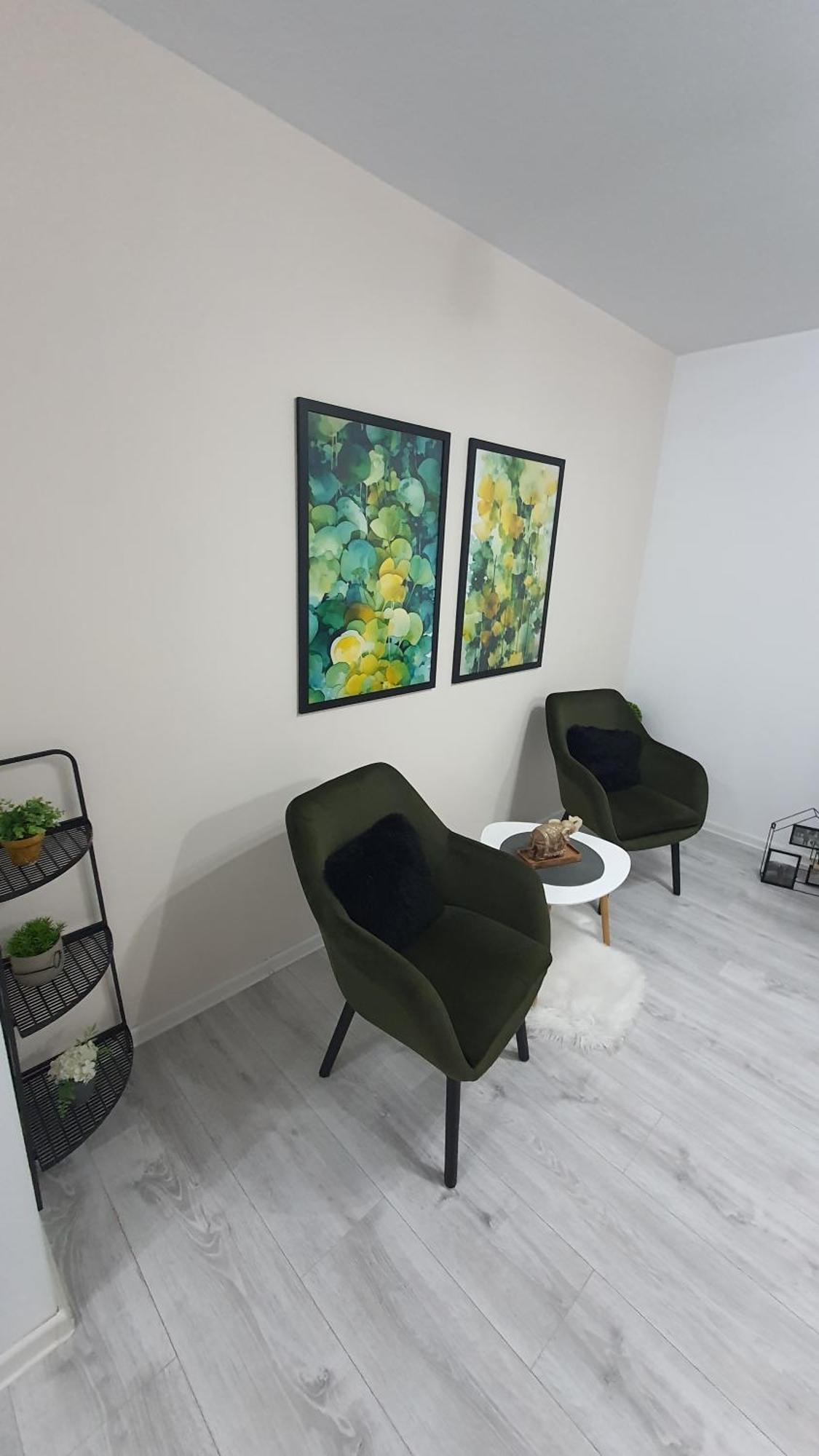 Green Apartment Coresi براشوف المظهر الخارجي الصورة