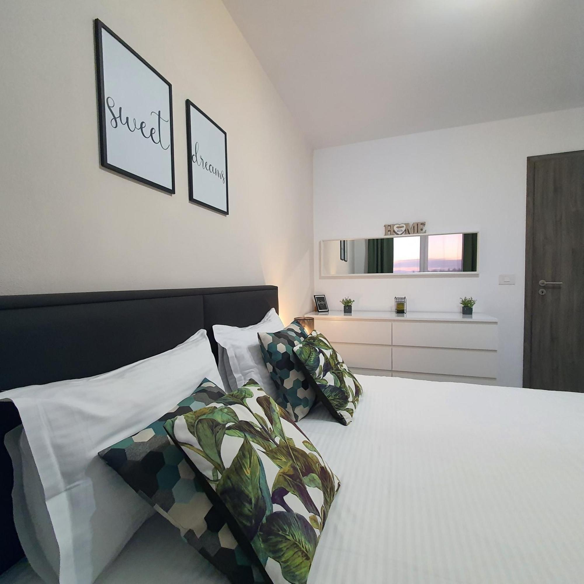Green Apartment Coresi براشوف المظهر الخارجي الصورة