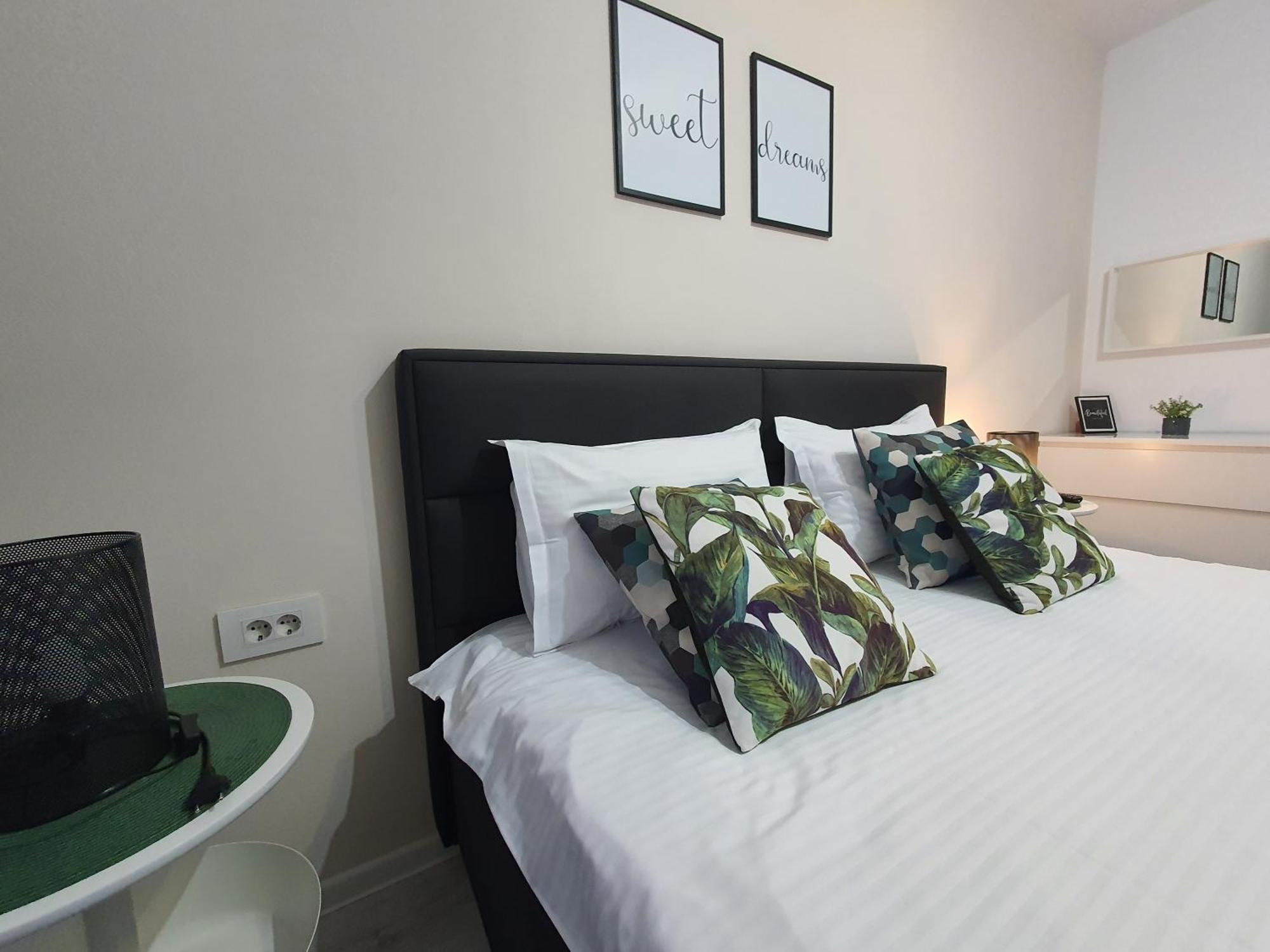 Green Apartment Coresi براشوف المظهر الخارجي الصورة